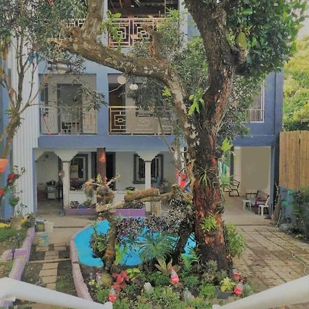 Purple Orchid Bed And Breakfast Tagaytay City Exterior foto